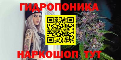 прущие крисы Можайск